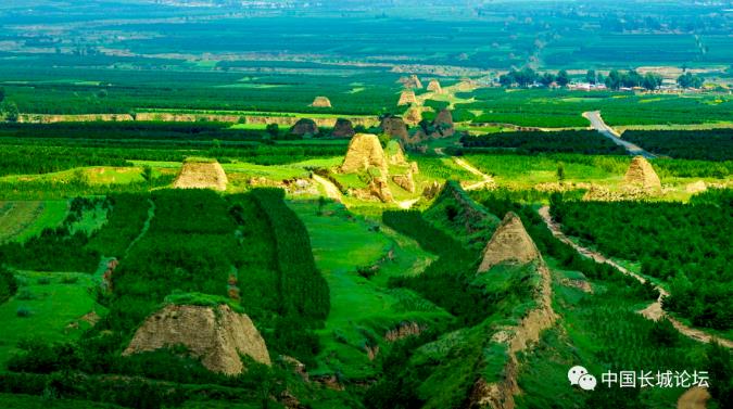 1678155319574265.jpg 8.jpg