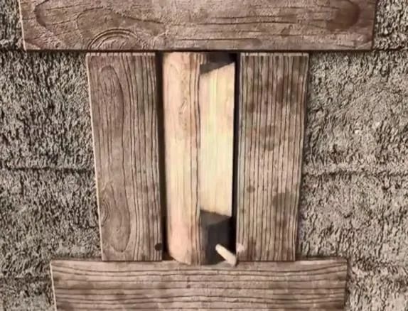 1678416648761225.jpg 1.jpg